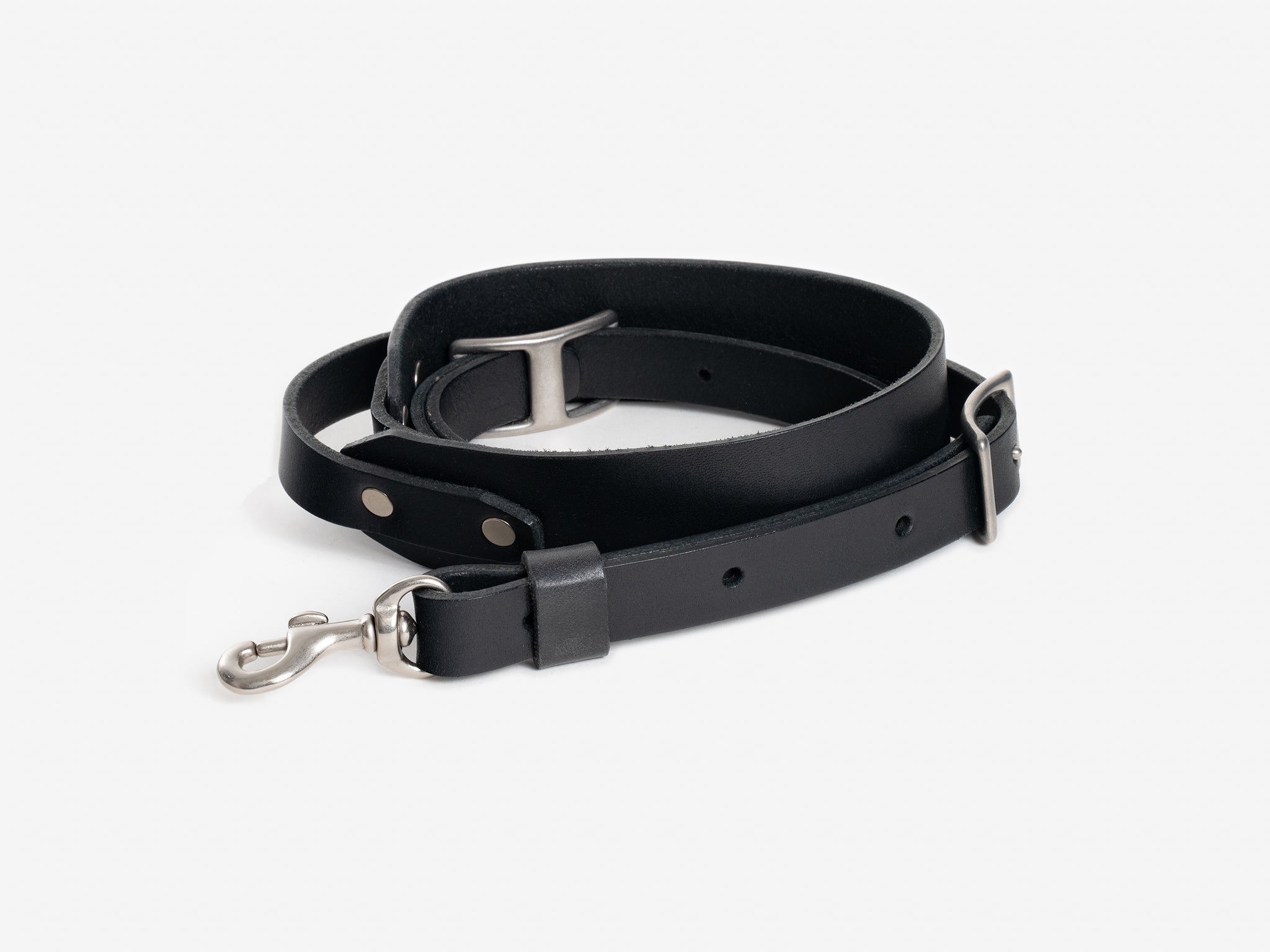 A black leather dog leash with silver metal hardware, including a buckle and a clasp, coiled neatly on a plain white background.